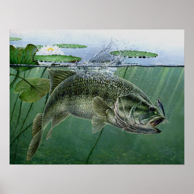 Affiche Meilleur spectacle national 2010 de A. Hunter (Devant)