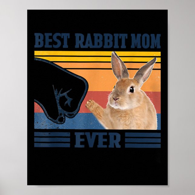 Affiche Meilleure maman lapin toujours cadeau de la fête d (Devant)