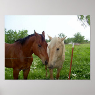 Affiche Meilleurs amis de BFF pour toujours