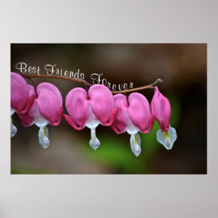 Affiche Meilleurs amis pour toujours