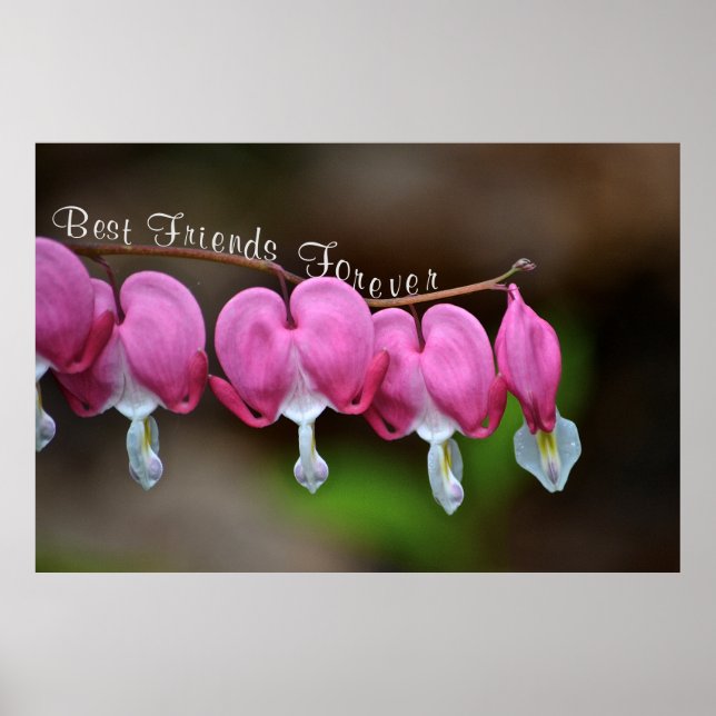 Affiche Meilleurs amis pour toujours (Devant)