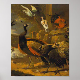 Affiche Melchior d'Hondecoeter - Oiseaux dans un parc