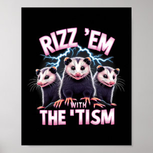 Affiche Mème Autiste Opossum Rizz Em Avec Tism Autism