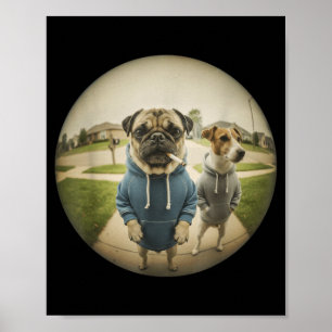 Affiche Mème cool de chien pug fumant sur un porche à gran