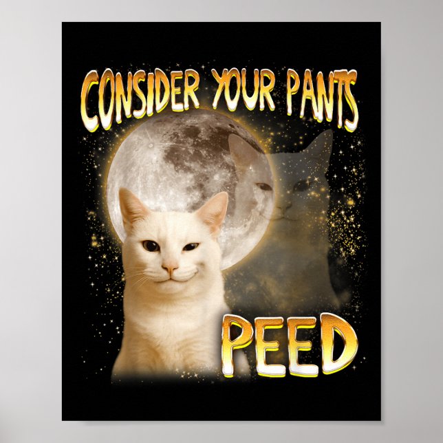Affiche Mème de chat Amateur de chat Maman chat drôle Cons (Devant)
