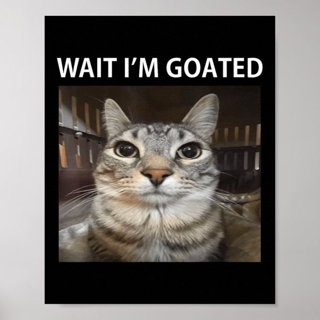 Affiche Meme de chat bête Wait Im Goated  (Devant)