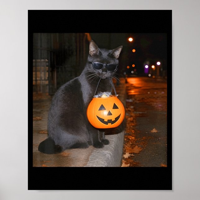 Affiche Mème de chat de citrouille drôle trick or treat ha (Devant)