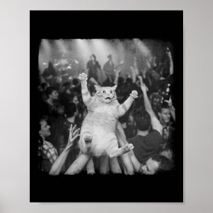 Affiche Mème de chat de spectacle de rock humour drôle cha