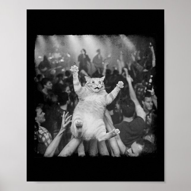 Affiche Mème de chat de spectacle de rock humour drôle cha (Devant)