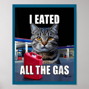 Affiche Mème de chat drôle j'ai mangé voulait tout le gaz