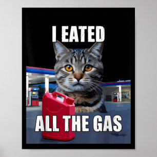 Affiche Mème de chat drôle je voulais tout le gaz drôle Me