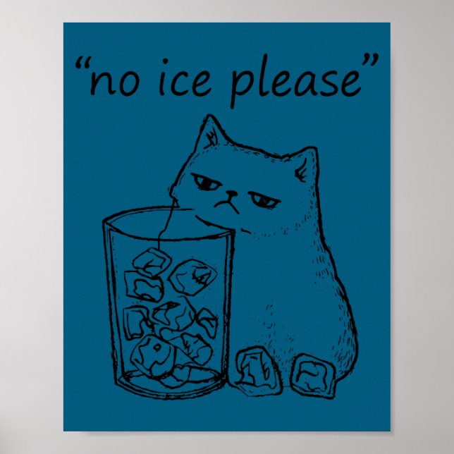 Affiche Mème de chat drôle pas de glace s'il vous plaît (Devant)