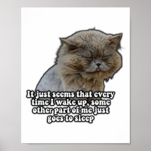 Affiche Mème de chat drôle pour les amoureux de chats et l