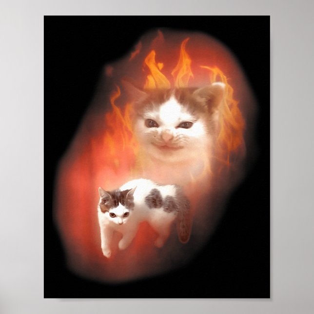 Affiche Mème de chat en colère humour drôle chat mignon am (Devant)