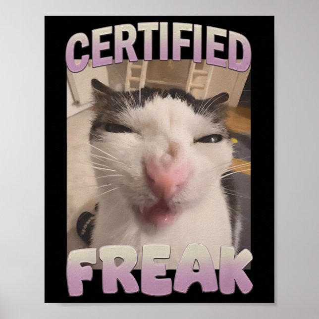 Affiche Mème de chat Freak Certifié Mèmes Offensifs Funn (Devant)