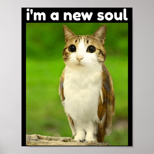 Affiche Mème de chat mignon Meowl Brainrot Chouette (Devant)