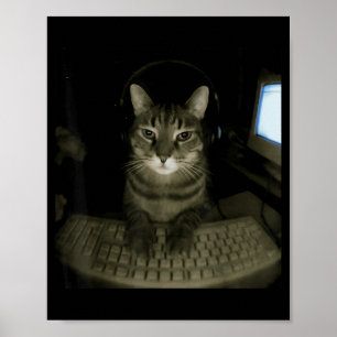 Affiche Mème de chat pirate drôle chat d'ordinateur chaton