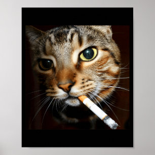 Affiche Mème de chat qui fume drôle humour noir chat sarca