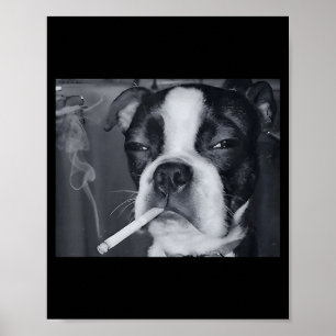 Affiche Mème de chien qui fume drôle Cigarette Mème de chi