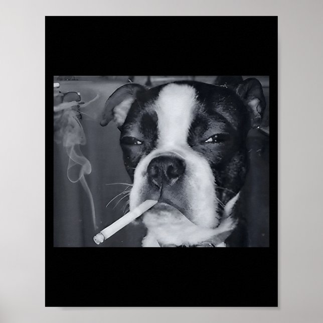 Affiche Mème de chien qui fume drôle Cigarette Mème de chi (Devant)