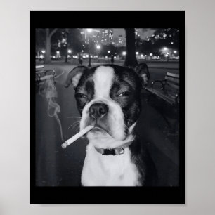 Affiche Mème de chien qui fume drôle Cigarette Mème de chi