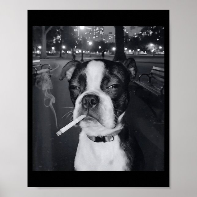 Affiche Mème de chien qui fume drôle Cigarette Mème de chi (Devant)