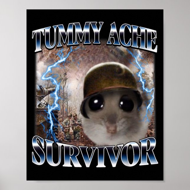 Affiche Mème de hamster survivant d'un mal de ventre drôle (Devant)