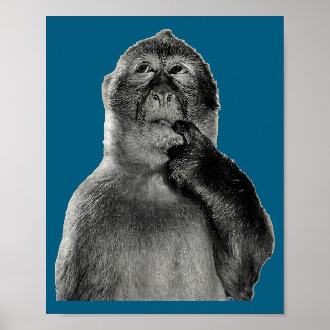 Affiche Mème de singe drôle avec style d'art humoristique  (Devant)