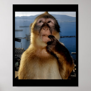 Affiche Mème de singe pensant drôle Curieux singe Brainrot
