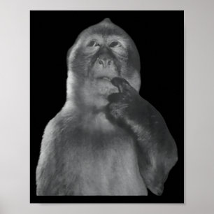 Affiche Mème de singe pensant drôle, singe curieux Brainro