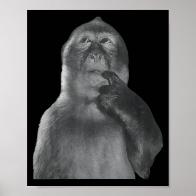 Affiche Mème de singe pensant drôle, singe curieux Brainro (Devant)