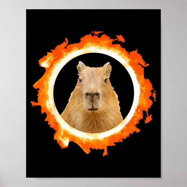 Affiche Mème drôle de capybara éclipse solaire animal (Devant)