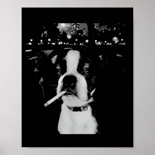 Affiche Mème drôle de chien qui fume