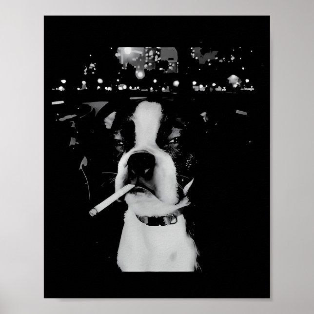 Affiche Mème drôle de chien qui fume  (Devant)