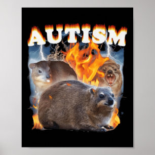 Affiche Mème drôle de daman autistique