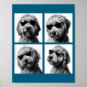 Affiche Mème drôle de Goldendoodle Photobooth de Doodle mi