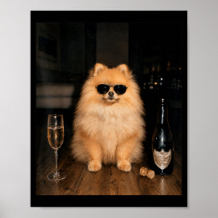 Affiche Mème drôle de Pomeranian buvant du Champagne