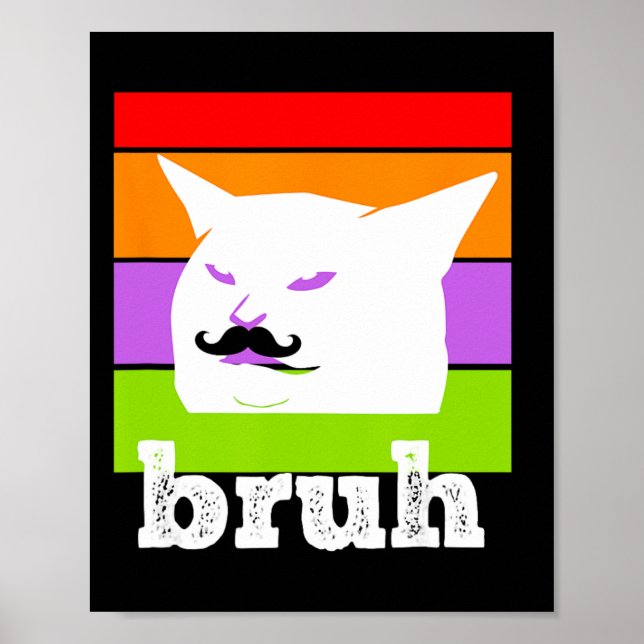 Affiche Mème Drôle Dit Bruh Avec Cat-cinco De Mayo-mexi (Devant)