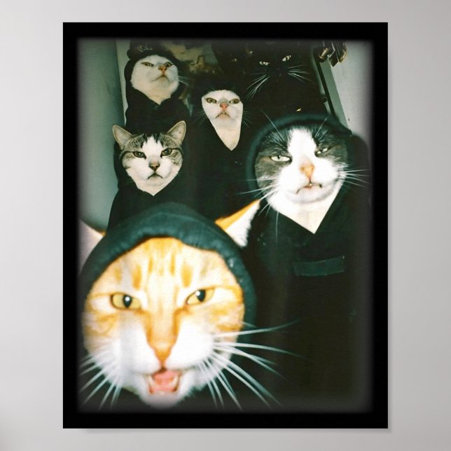 Affiche Mème Gang de Chats Drôle Chats Chaotiques Félin Dé (Devant)