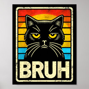 Affiche Mème Graphique Drôle Cat Bruh Pour Garçons Filles