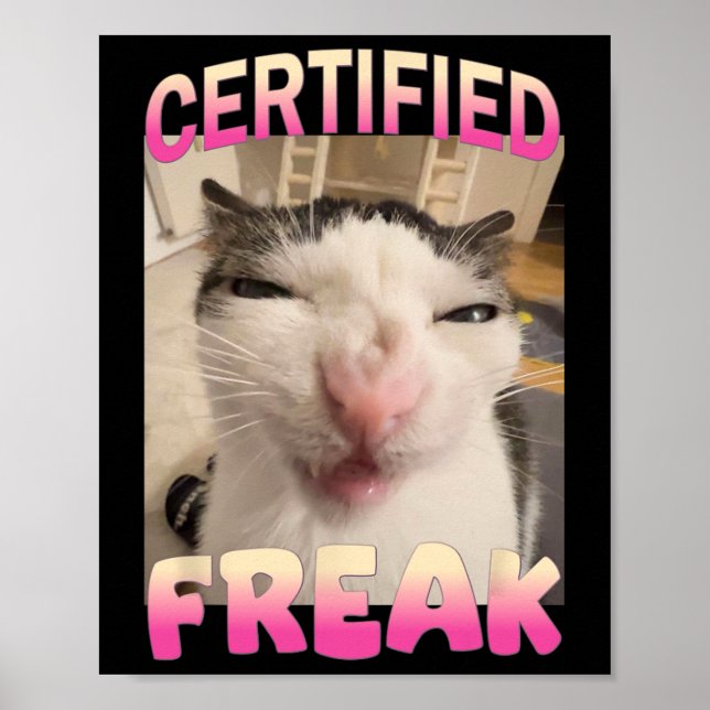 Affiche Mème Offensive Mèmes de félin Freak Certifié Mat D (Devant)