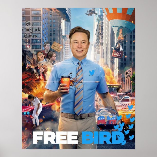 Affiche MEME OISEAU GRATUITE - Elon, Twitter, Oiseau gratu (Devant)