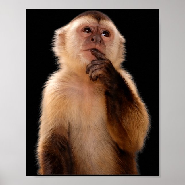 Affiche Mème sarcastique de singe qui pense drôle  (Devant)