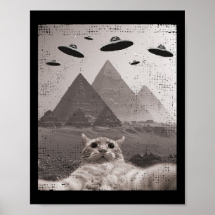 Affiche Mème Ufo Chat - Selfie Chat Drôle Avec Ufos