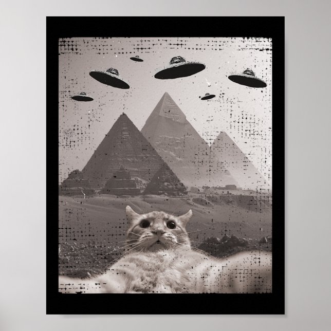 Affiche Mème Ufo Chat - Selfie Chat Drôle Avec Ufos (Devant)