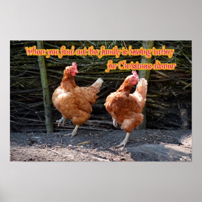 Affiche Mèmes amusants de poulet et de coq avec des images (Devant)