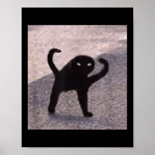 Affiche Mèmes de chats maudits Chat maudit en colère comme