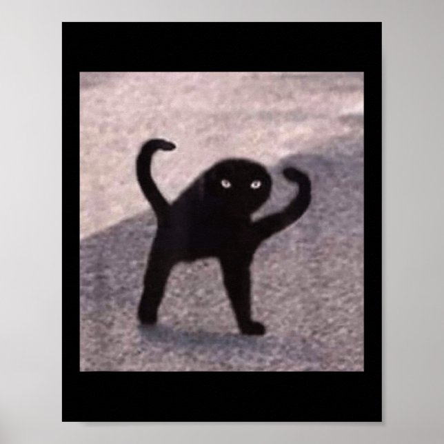 Affiche Mèmes de chats maudits Chat maudit en colère comme (Devant)