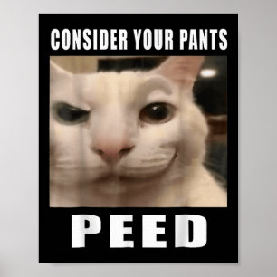 Affiche Mèmes de chats stupides amusants par 919 Designs C