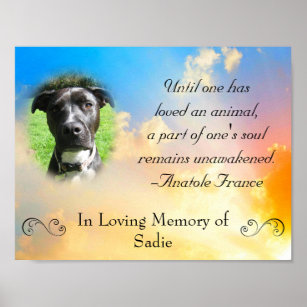 Cadeaux Perte D Une Citation Animal Familier Zazzle Fr